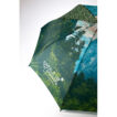 Regenschirm mit automatischer Öffnung