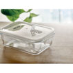 transparente Lunchbox zum Frischhalten von Speisen