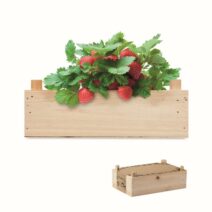 Saat-Set für Erdbeeren als Werbeartikel
