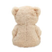 Teddybär aus RPET-Fleece, gefüllt mit recyceltem Polyester - bedruckbar
