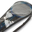 Badminton-Wasserball-03-Strandball-individuell-bedruckbar-Madels-bedruckbar-werbegeschenk-werbeartikel-rosenheim-muenchen.jpg