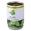 Basilikum-Pflanze-04-bedruckbar-BASIL-bedruckbar-werbegeschenk-werbeartikel-rosenheim-muenchen.jpg